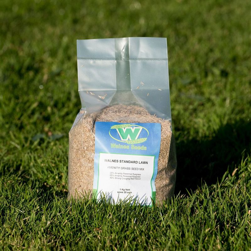 Walnes Standard Lawn Seed