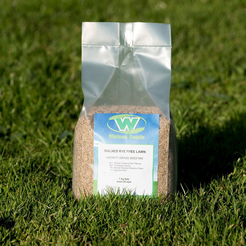 Walnes Rye Free Lawn Seed