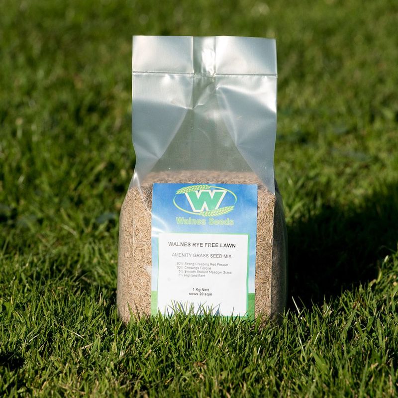 Walnes Rye Free Lawn Seed