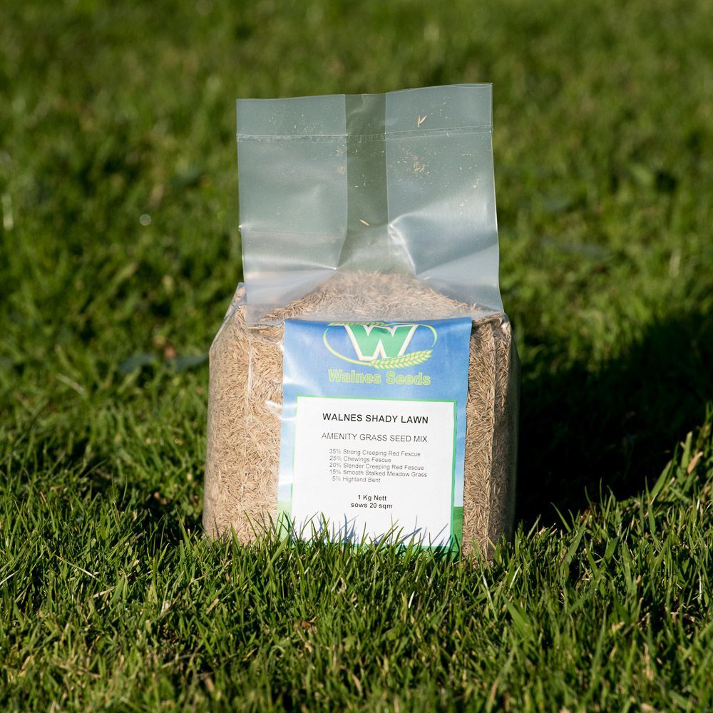 Walnes Shady Lawn Seed