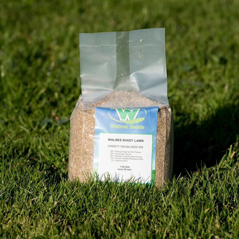 Walnes Shady Lawn Seed