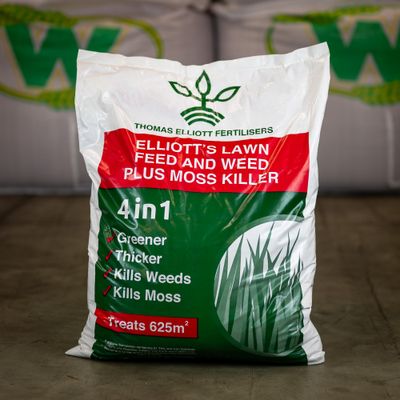 Lawn Feed and Improvement