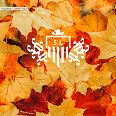 Camps d&#39;automne