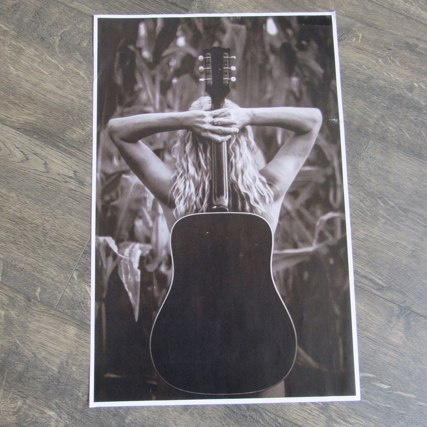 Guitar-Cornfield Poster