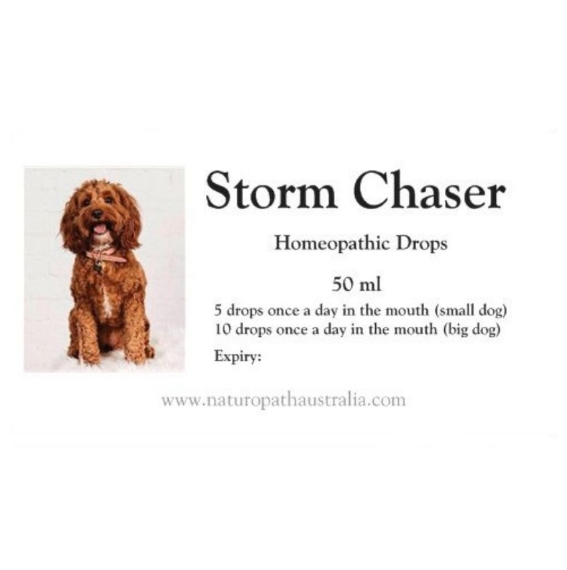 Storm Chaser Homeopathic Drops