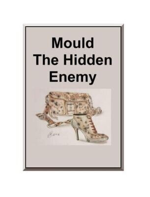 Ebook - Mould The Hidden Enemy