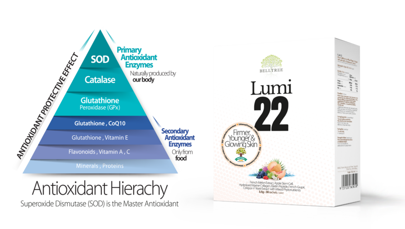 Lumi 22 Skin supplements