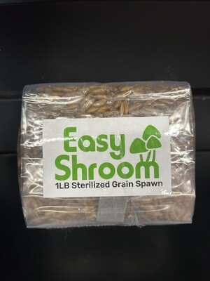 Sterilized Grain Spawn Bag 1lb.