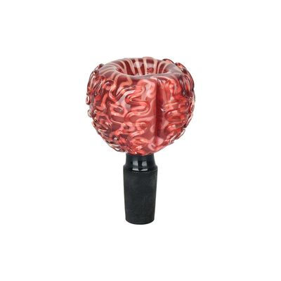 Your Brain on Drugs herb slide - 14M