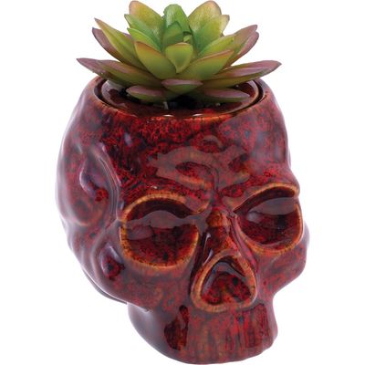 Skull Planter Stash Jar