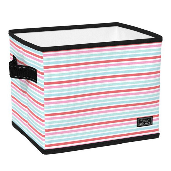 Hang-10 Bin Popsicle Road