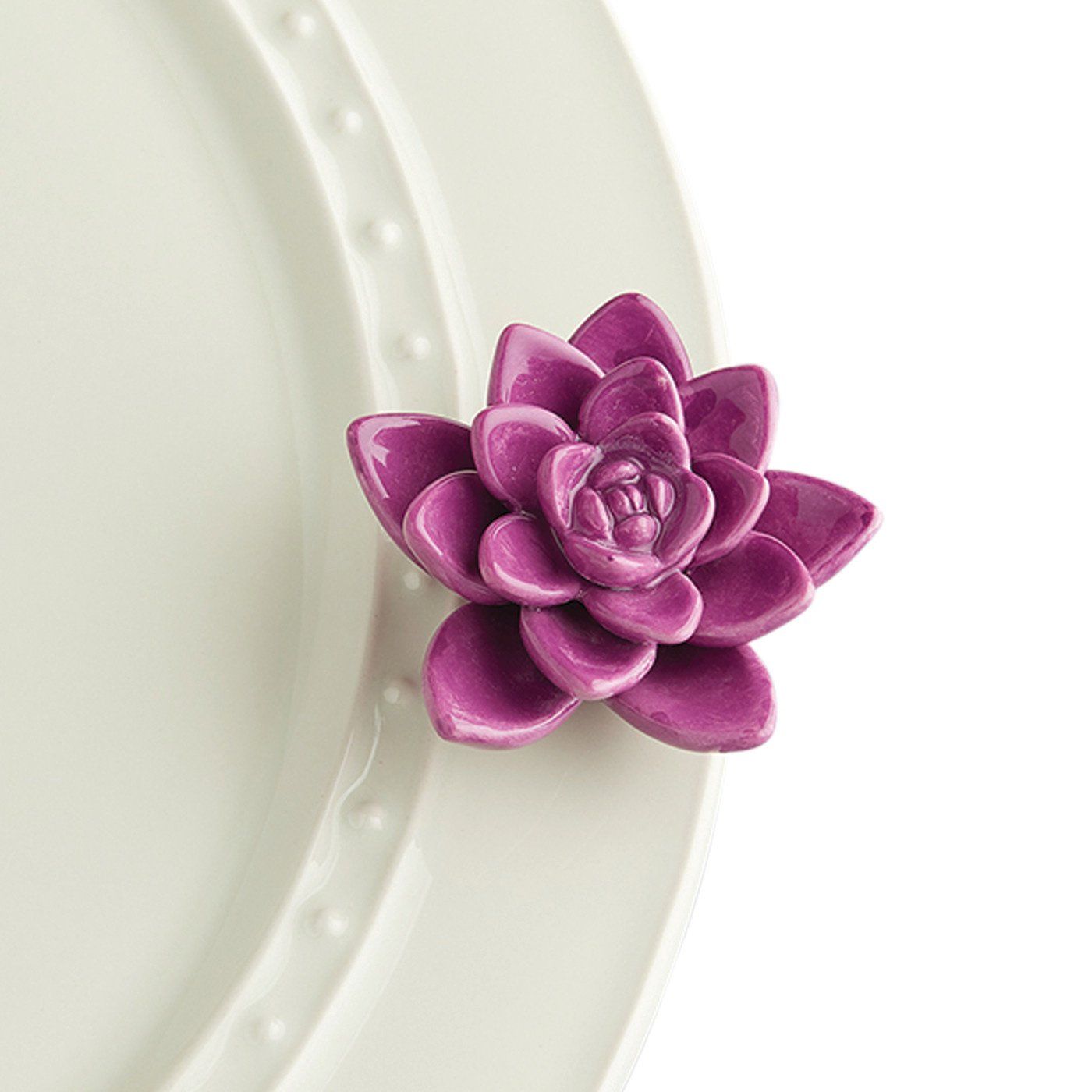 Mini Get Growing Purple Succulent