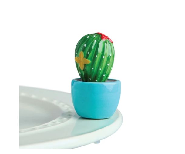 Mini Can&#39;t Touch This Cactus