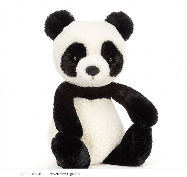 Bashful Panda Medium
