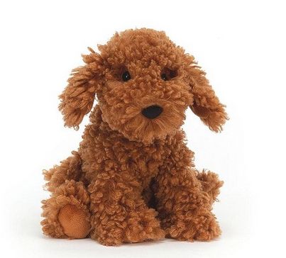Cooper Doodle Dog