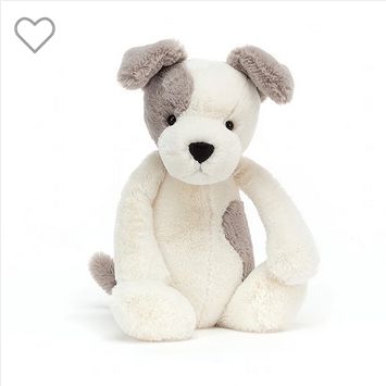Bashful Terrier Medium