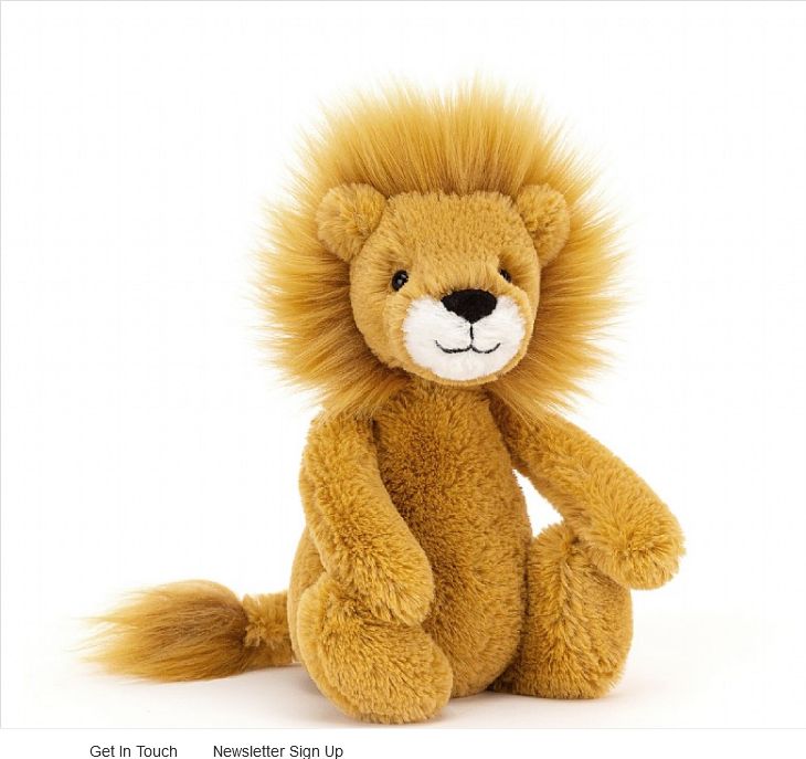 Bashful Lion Small
