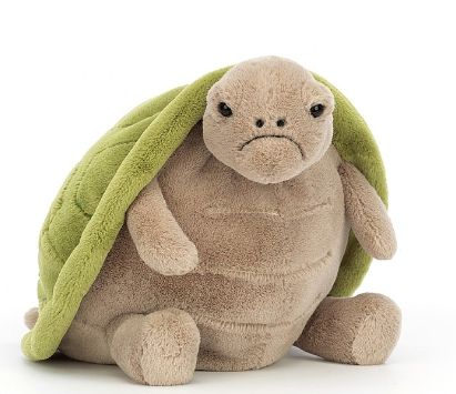 Timmy Turtle
