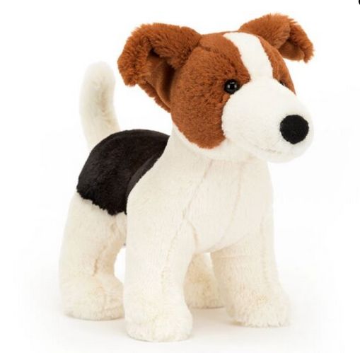 Albert Jack Russell Dog