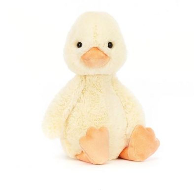Bashful Duckling Original