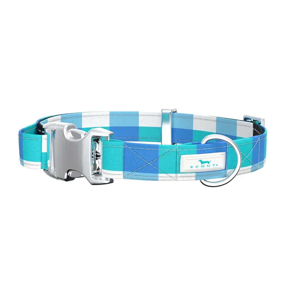 Dog Collar Small Friend of Dorothy
