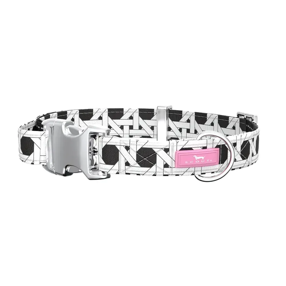 Dog Collar Small Cane Fonda