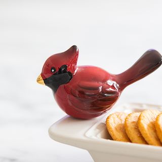 Mini Cardinal Winter Songbird