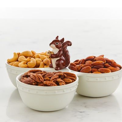 Mini Mr. Squirrel
