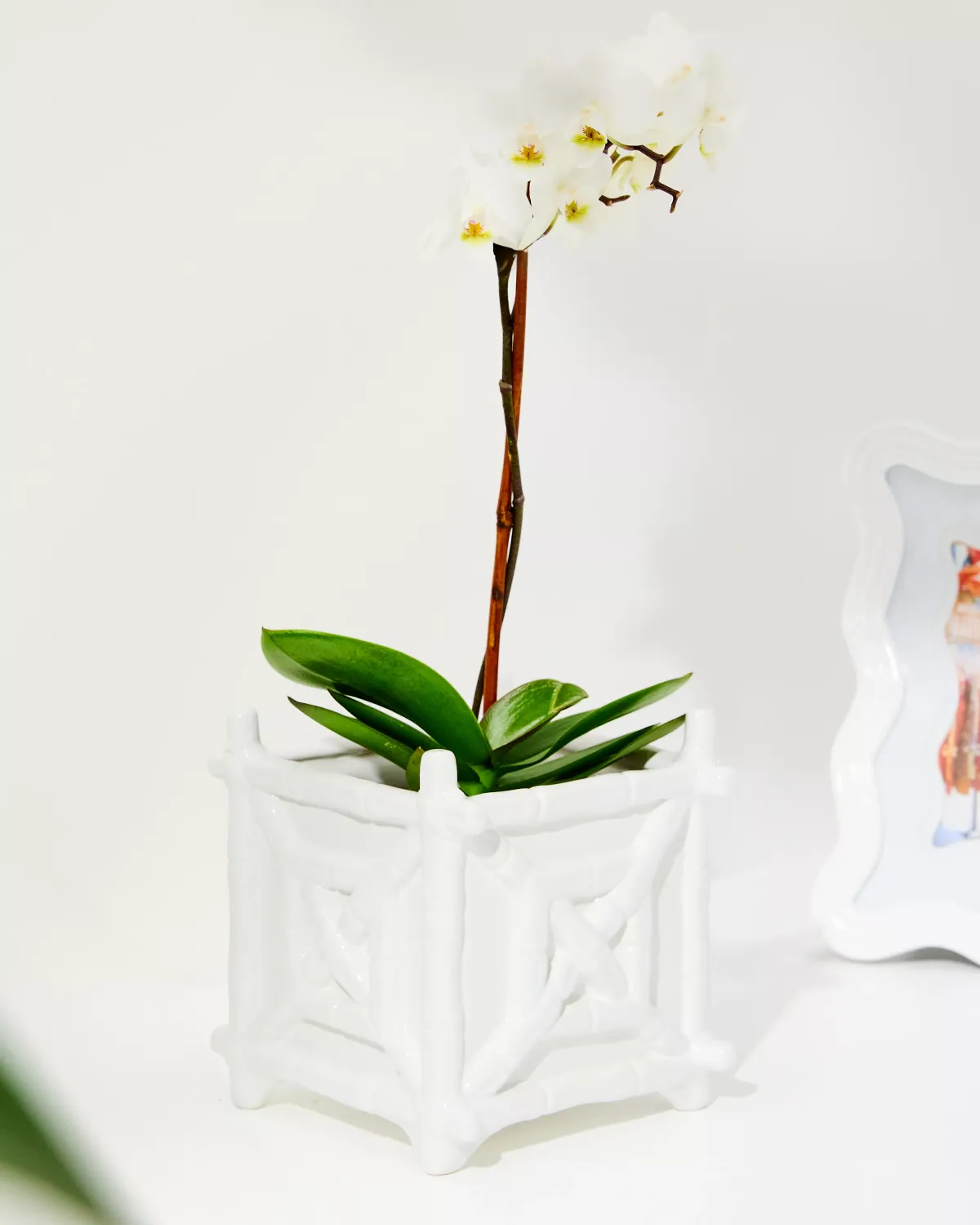 Ceramic Planter Resort White