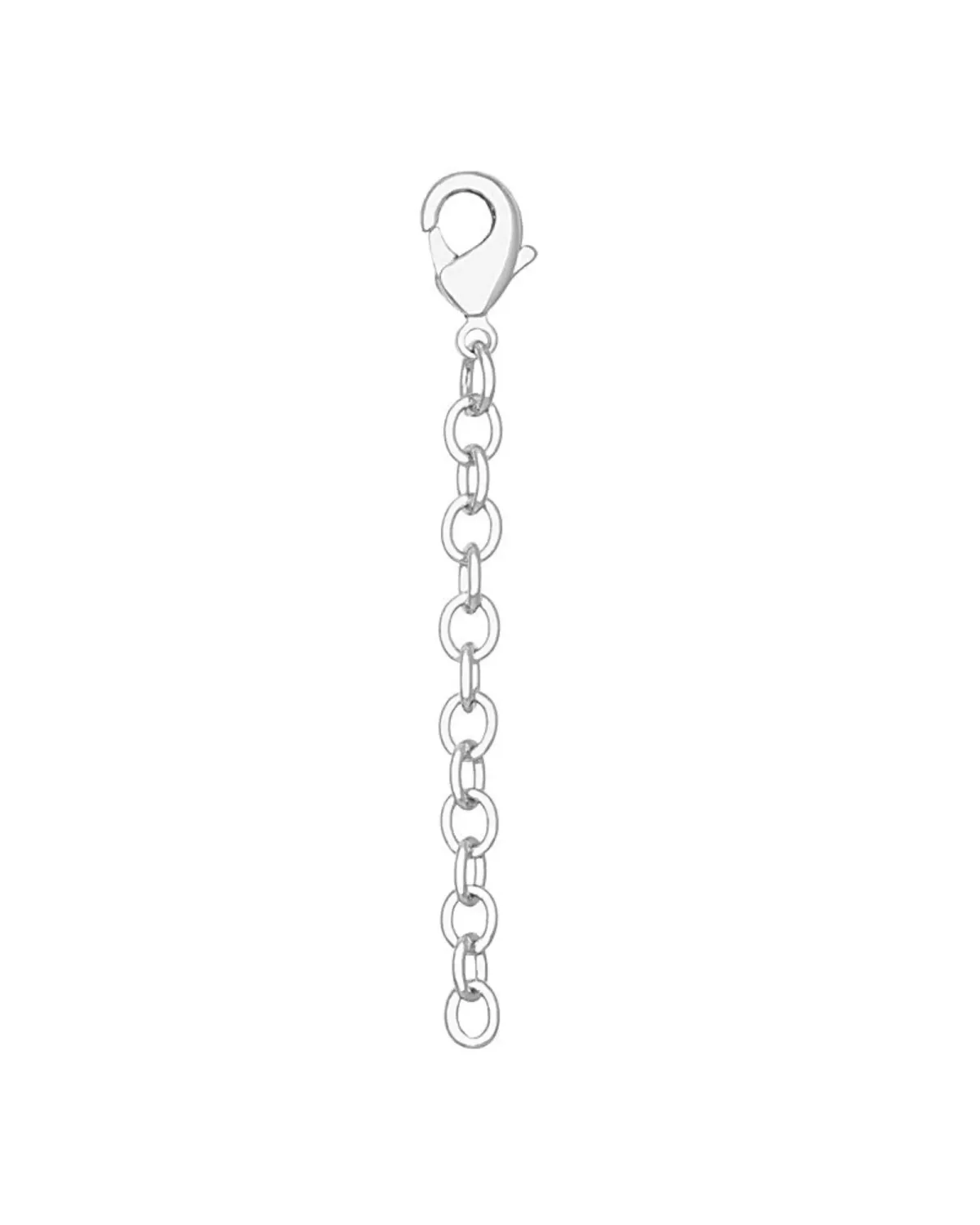Necklace Extender 2 in Lobster Silver