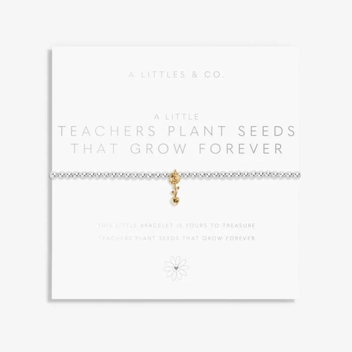 A Little Teachers Plant Seeds Bracelet Silver