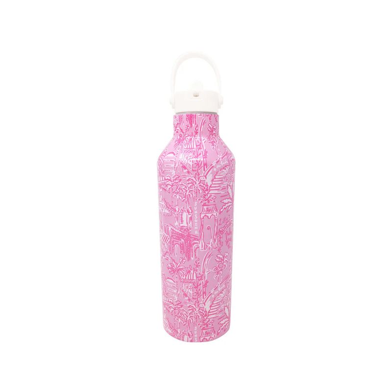 Stainless Steel Water Bottle Palm Beach Playground 25oz