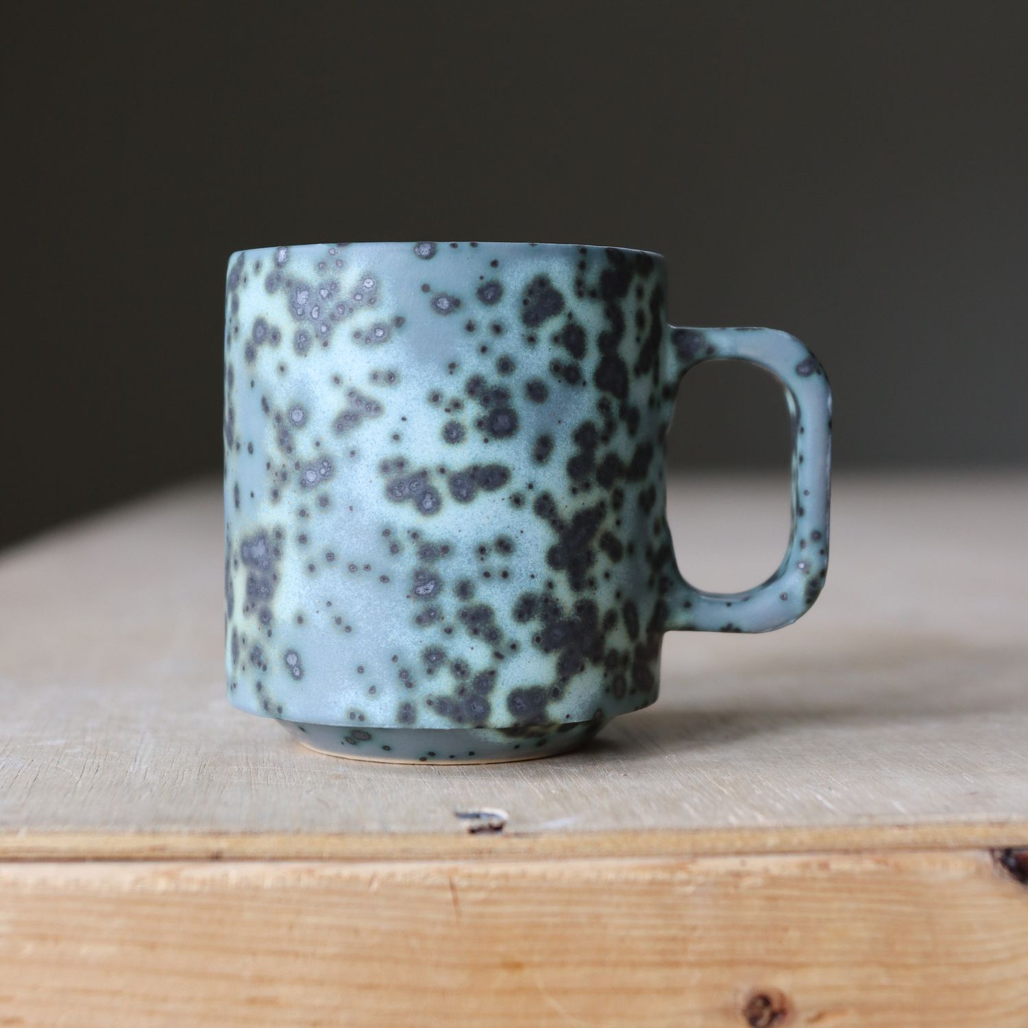 Moldy Cheese(EXTRA MOLDY) - Everyday Mug