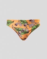 Training Togs (Mens), Design: Escape Briefs Gum Nuts, Size: 32