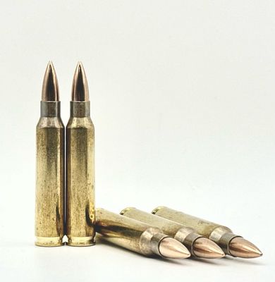 Panther .223 55 Grain FMJ