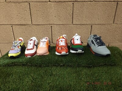 Inaugural Collection