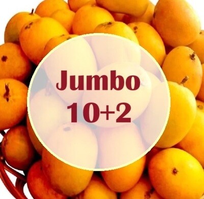​Jumbo 10+2 Alfonso