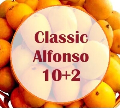 Classic 1 dozen Alfonso 10+2