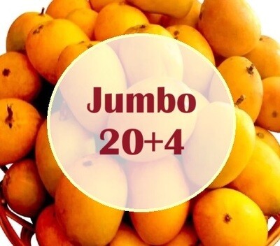 Jumbo 2 dozen Alfonso (24 Mangoes)