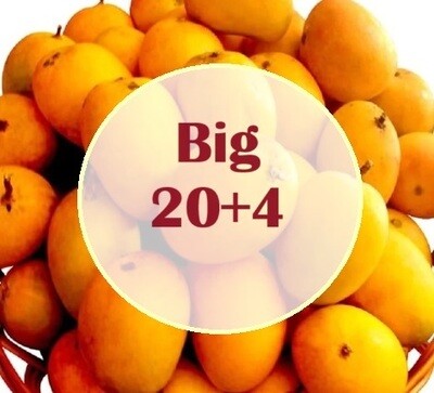 Big 2 dozen Alfonso (24 mangoes)