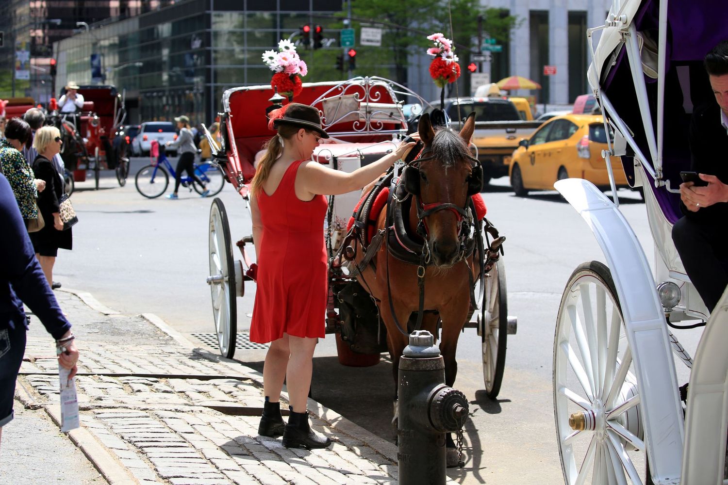 ?All day door to door NYC Private Tour, 1-3 Passengers 