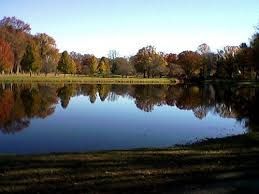 Cranford, NJ 07016