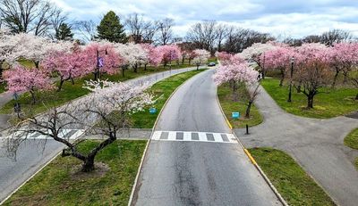 Lyndhurst, NJ 07071