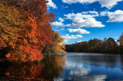 Lakewood, NJ 08701