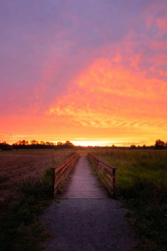 Ridgefield Park , NJ 07660