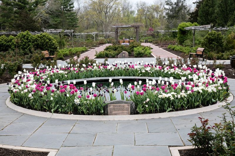 Somerset, NJ 08873