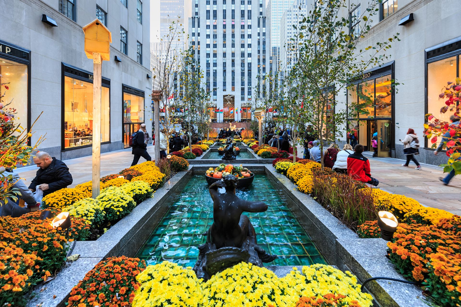 Half Day- Door to door NYC Private Tour by Happy Shuttle Tours. Big Van 10 Passengers.