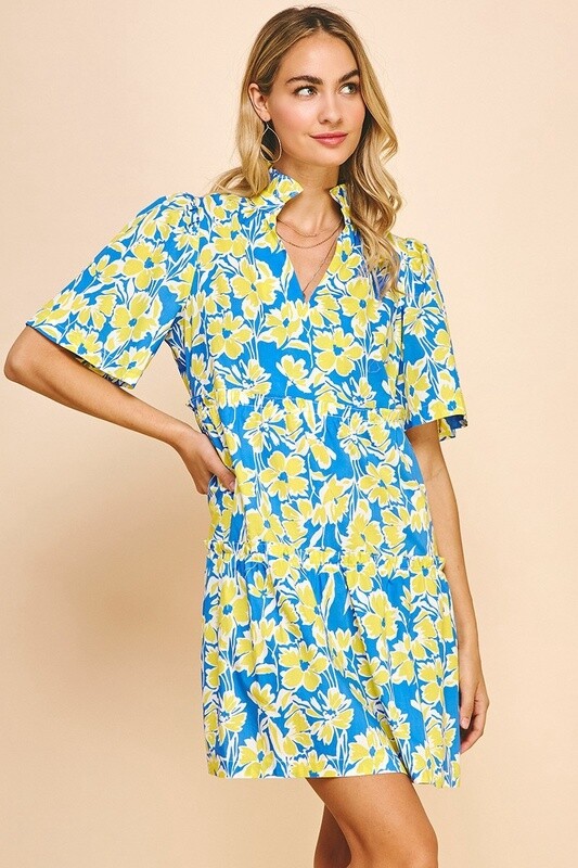 Floral Print Drop Waist Dress