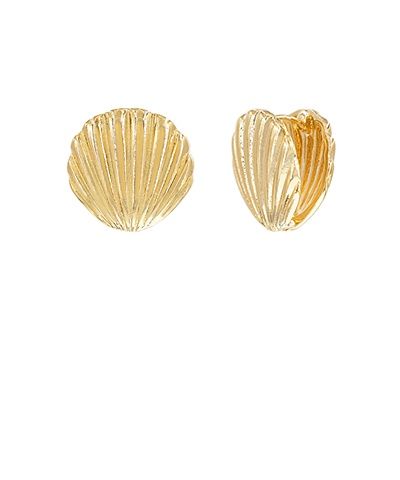 Shell Shape Earrings