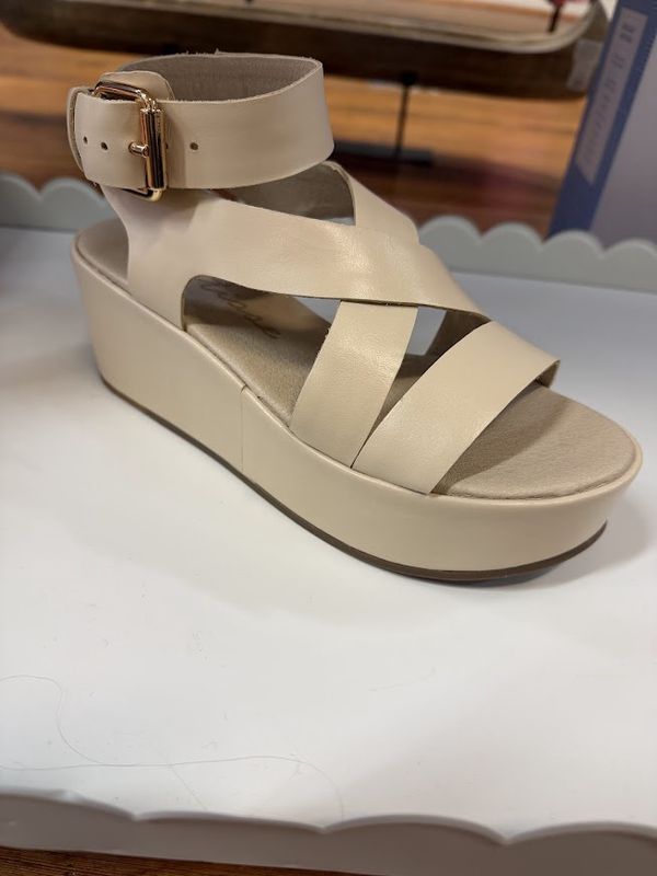 Pascal Buckle Flatform